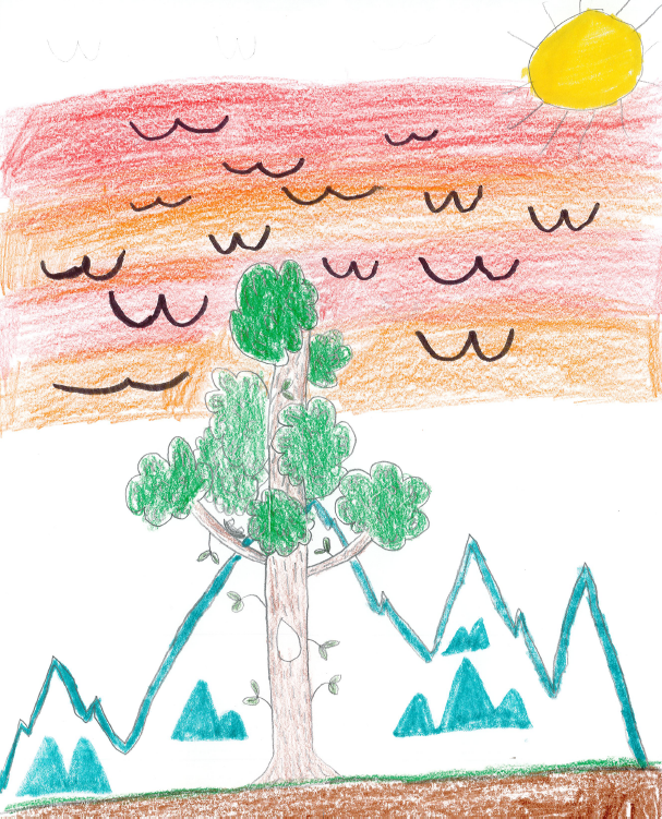 3rd Grade Winner