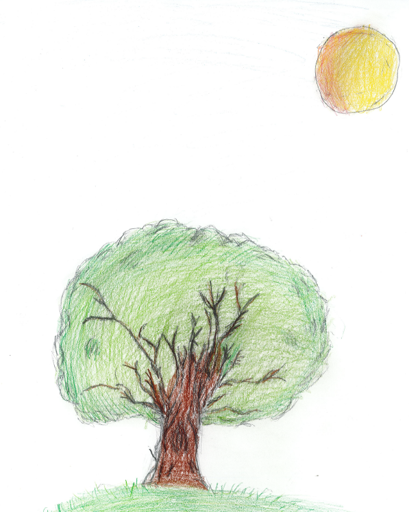 5th Grade Winner